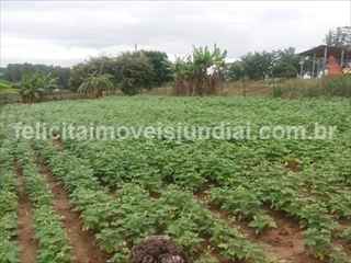 Fazenda à venda com 3 quartos, 110m² - Foto 14