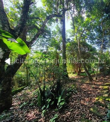 Fazenda à venda com 2 quartos, 77m² - Foto 8